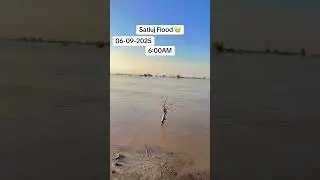 Satluj Flood | Satluj High Flood In Punjab | Satluj main paani bahut hai #satluj #flood