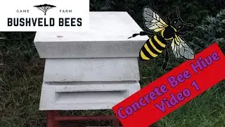 Concrete Hives video 1 of 2: Moving a bee swarm into the concrete hive. 🐝🐝🐝 subscribe to see video 2