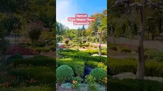 ОДЕССА❗️ПАРК МАРКА ТВЕНА (ГОРЬКОГО)❗️#SHORTS #SHORTVIDEO #ODESSA #ОДЕССА #SHORTSVIDEO