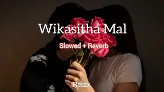 Wikasitha Mal ( විකසිත මල් ) Slowed+Reverb @RelaxMusic.5 