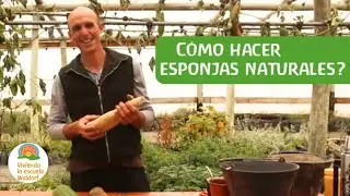 Cómo hacer esponjas naturales? 😃 Te mostramos el proceso completo paso a paso🙌💪🌟