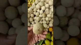 Wood Apple🍎|Vilam Pazham| #woodapple #shorts #short #fruits #watchngrasp