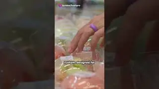 Cold Storage Turnkey Projects (Potato, Onion, Apple, Fruits, Vegetables)