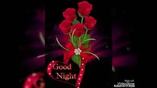Good Night Gif What&rsquo;s Up Status Video | Good Night Images | Night Wishes | #goodnightstatus 👍