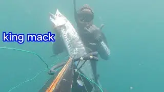 0214 king mack catching technique