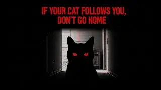 If Your Cat Follows You, Don't Go Home - Analog Horror