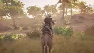 Assassin creed origins  find and kill the tax collector ￼
