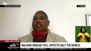 World Malaria Day | Disease still affecting half the world