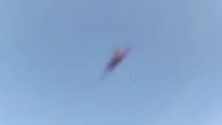 sokollo w akci do drona