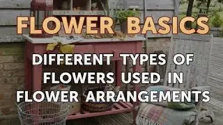 Different Types of Flowers Used in Flower Arrangements