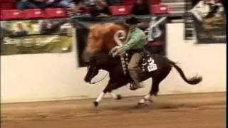 Soulas a Cinch