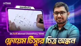 Biology Drawing: ফ্লোয়েম টিস্যু শেখো সহজভাবে| বায়োলজি চিত্র | reThink