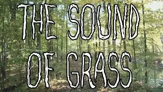 The Sound of Grass - A Short Film