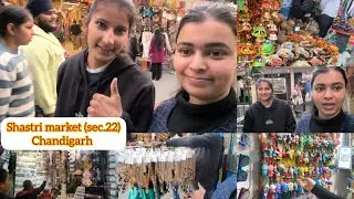 EXPLORING CHANDIGARH BAZARS!