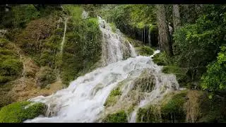 Deep Forest Waterfall-Nature Sounds for Meditation & Stress Relief