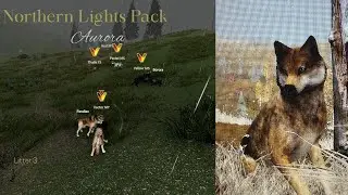 Northern Lights Pack - Aurora L3 - Rendezvous [WolfQuest Saga]