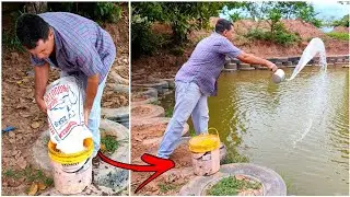 SAL NA ÁGUA - JOGANDO SAL NO TANQUE DE PISCICULTURA