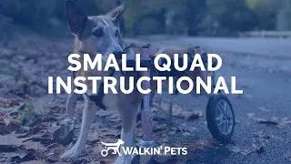 Small 4-Wheel/Quad Walkin' Wheels Wheelchair Instructions