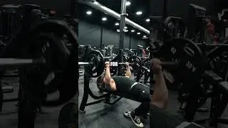 MALE BENCH PRESS STRENGTH STANDARDS! #fit #davidlaid #bodybuilding #gym #benchpress