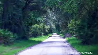 Dirt Road Alachua County Florida