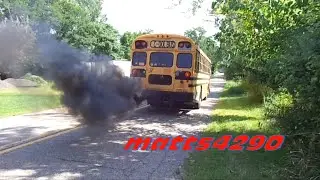 Bus 68 is the COOL bus