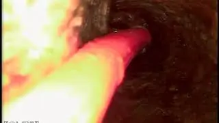 4809 Sparks Avenue Root Removal with Chain Knockers