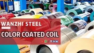 【PPGI Coil】Printed Printed Steel Coil -Wanzhi Steel
