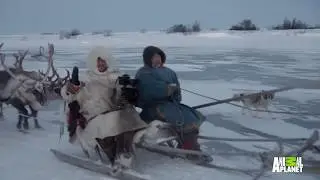 Epic Animal Journeys Promo