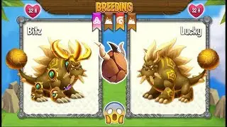NEW BREEDING: High Terra Dragon & New Terra Dragon | Dragon City 2019 😱