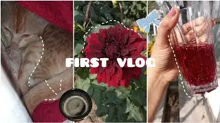 my first vlog🙋&zwj;♀️🌱💗    [vlog-01]    #trending#vlog#aesthetic#dailyvlog 