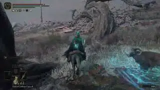 Elden Ring: Sneaky Beaky Like!