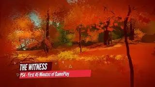 The Witness PS 4 - First 45 Minutes of GamePlay