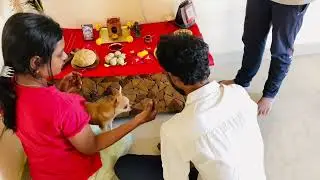 Bringing Lingabhairavi Devi Gudi home from Isha Yoga centre,Sadhguru #lingabhairavidevi #sadhguru