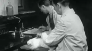 Passive Immunity to Infectious Disease 1955