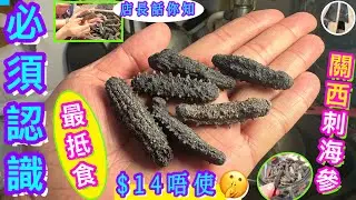 迷你刺海參浸發🌟原來咁抵食快捷🎯宴客菜隨手做🤣喜歡影片請點讚/訂閱/分享/留言👍🏻🍀
