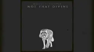 Markus Schukowski - Not That Divine (Official Audio)