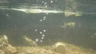 Trail Creek Hot Springs in July