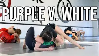 Jiu Jitsu Roll with Purple Belt and White Belt