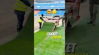 Where Does Stadium Grass Really Grow? #shorts