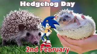 Sonic 3 Sega Genesis Classic Commercial Groundhog Day | Hedgehog Day