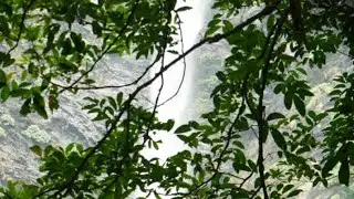 Venturesome trek to Onake Abbi Waterfalls Part  1/2| ಒನಕೆ ಅಬ್ಬಿ ಜಲಪಾತಕ್ಕೆ ಸಾಹಸಮಯ ಚಾರಣ Part 1/2