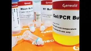 PCR Cleanup Kit