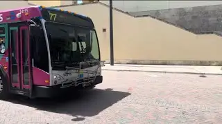 Miami-Dade Transit: 2014 40ft Gillig BRT Hybrid #14115 On Route 77 @ NW 1st St & NW 2nd Av