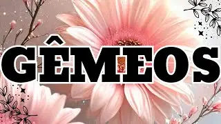 ♊GÊMEOS♊ É COLHEITA!! É DINHEIRO CHEGANDO NA TUA CONTA!!💫⚖️💰🤩🥳