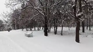 Parcul Pantelimon Bucharest, Winter 2019 - Beautiful Snow