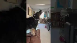 Scout is very angry and needs to talk about it.