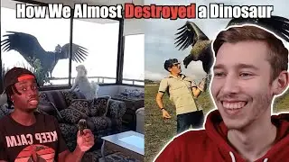 Why We Owe a Vulture on Steroids an Apology REACTION!