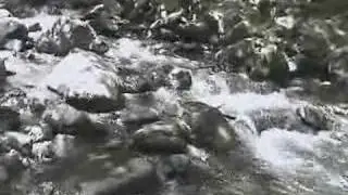 teşvikiye erikli yaylası
