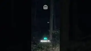 Glowing Eyes in the Woods at Night! #rake #creature #creatures