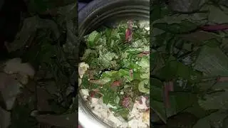 #cooking #kempu harive sppina palya👍💯💯